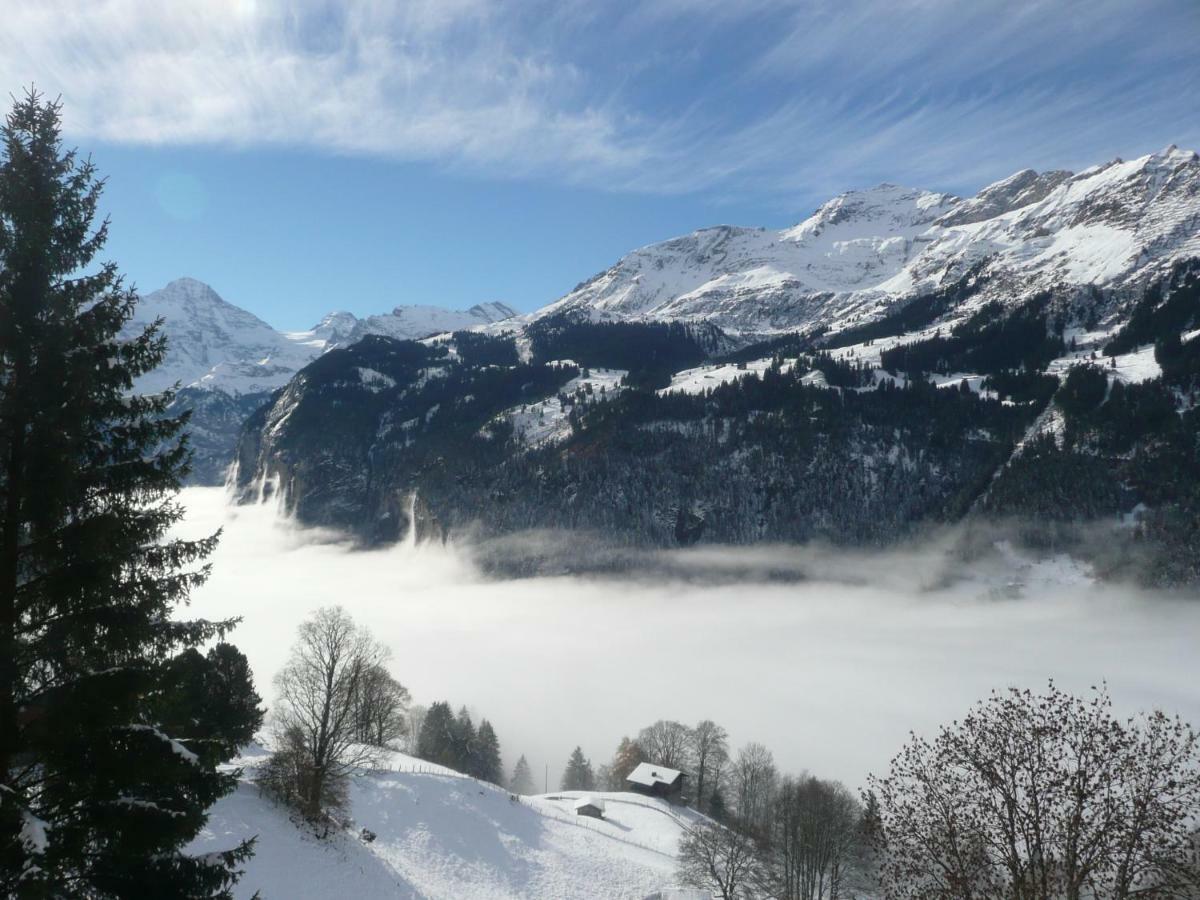Holiday Flat #1, Chalet Aberot, Wengen, Switzerland Dış mekan fotoğraf