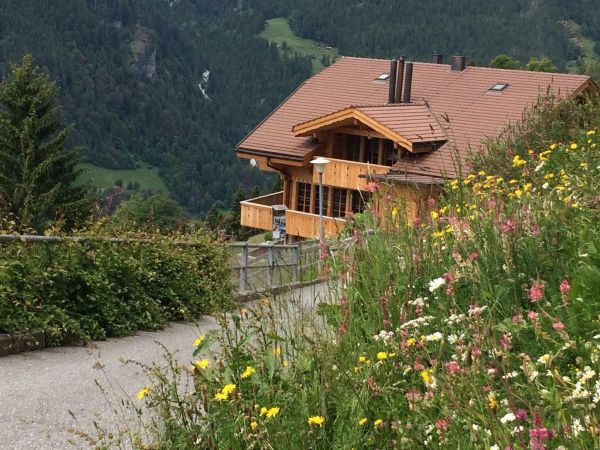 Holiday Flat #1, Chalet Aberot, Wengen, Switzerland Dış mekan fotoğraf