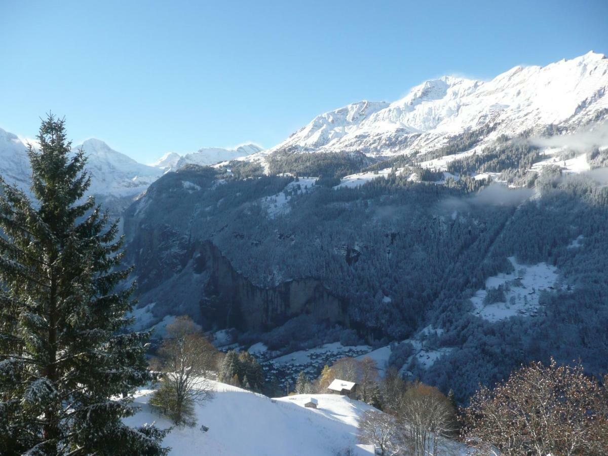 Holiday Flat #1, Chalet Aberot, Wengen, Switzerland Dış mekan fotoğraf