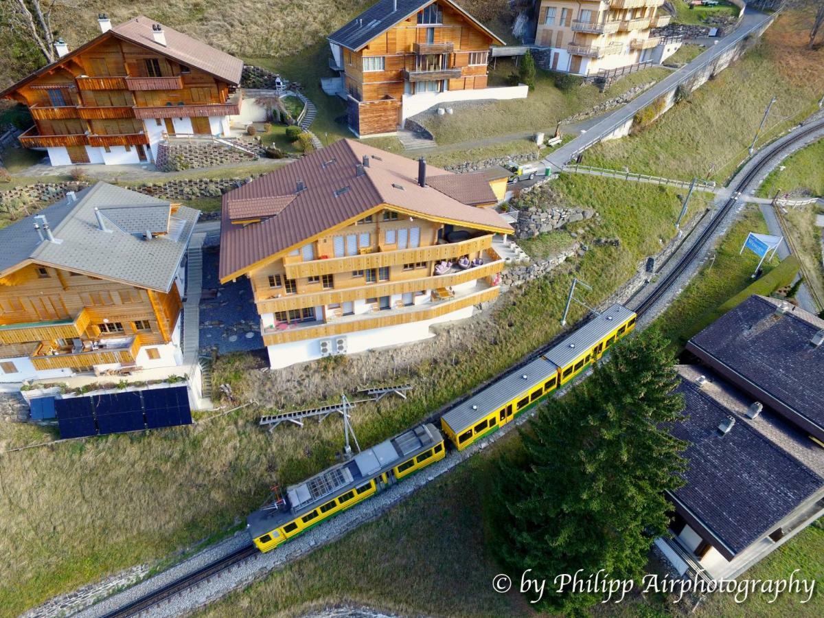 Holiday Flat #1, Chalet Aberot, Wengen, Switzerland Dış mekan fotoğraf